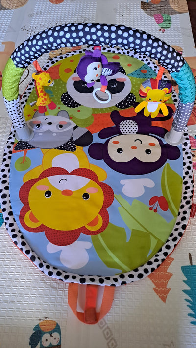 (#PG5269) Gimnasio modelo Pequeño Explorador. Marca Infantino