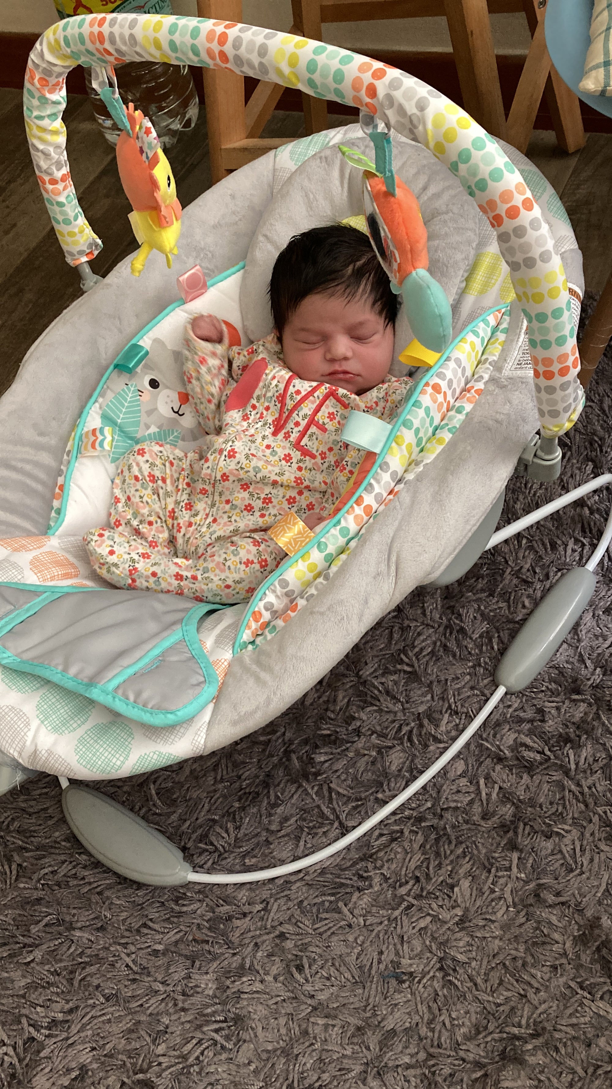 (#PG4413) Silla nido mecedora modelo Whimsical Wild. Marca Bright Starts