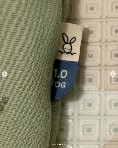 2 Saquitos de dormir modelo Dragonflies y Willow. Marca Ergopouch (#PG5820)