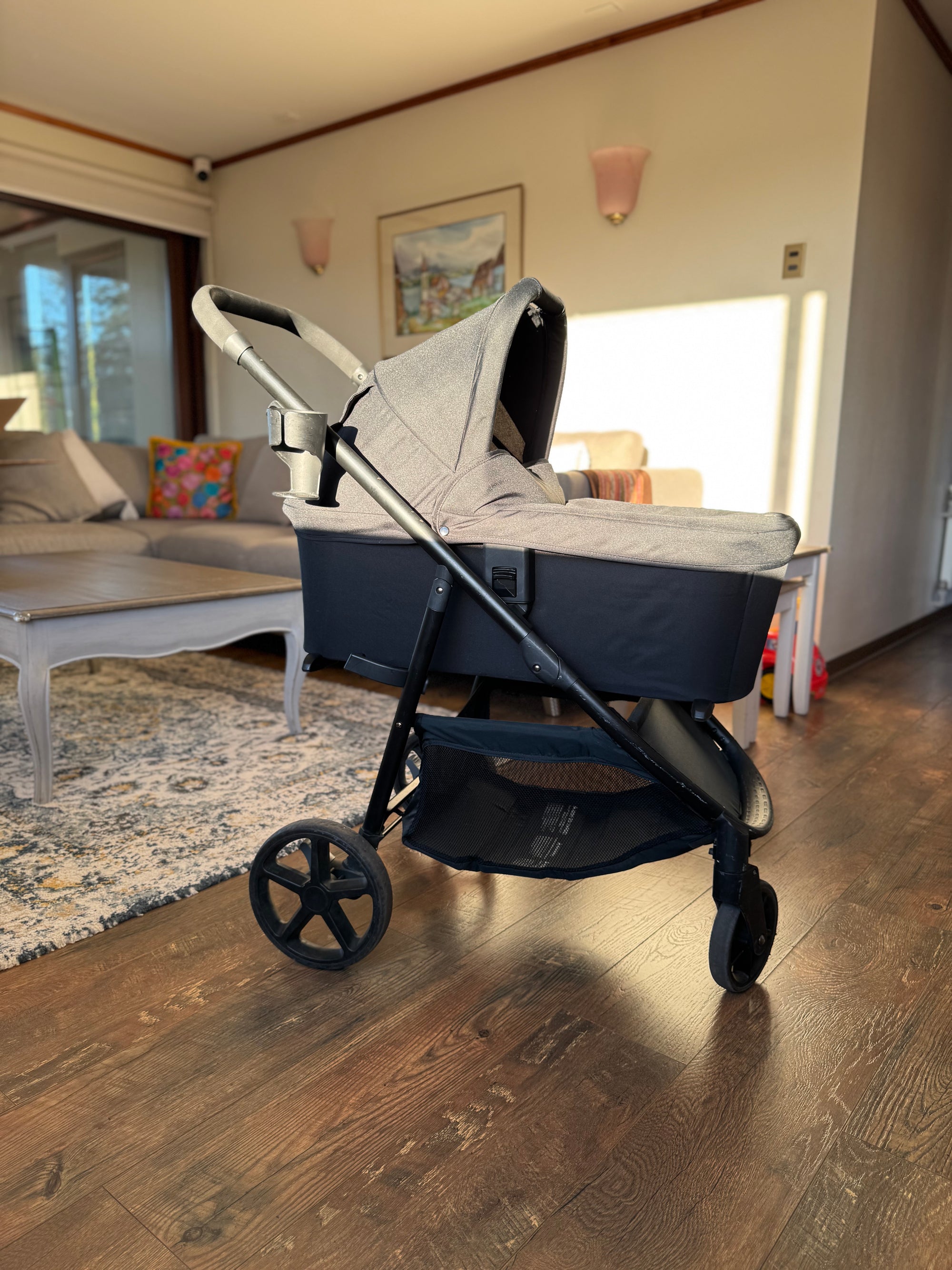Moisés para coche, modelo Zinnia. Marca Britax (#PG5593)