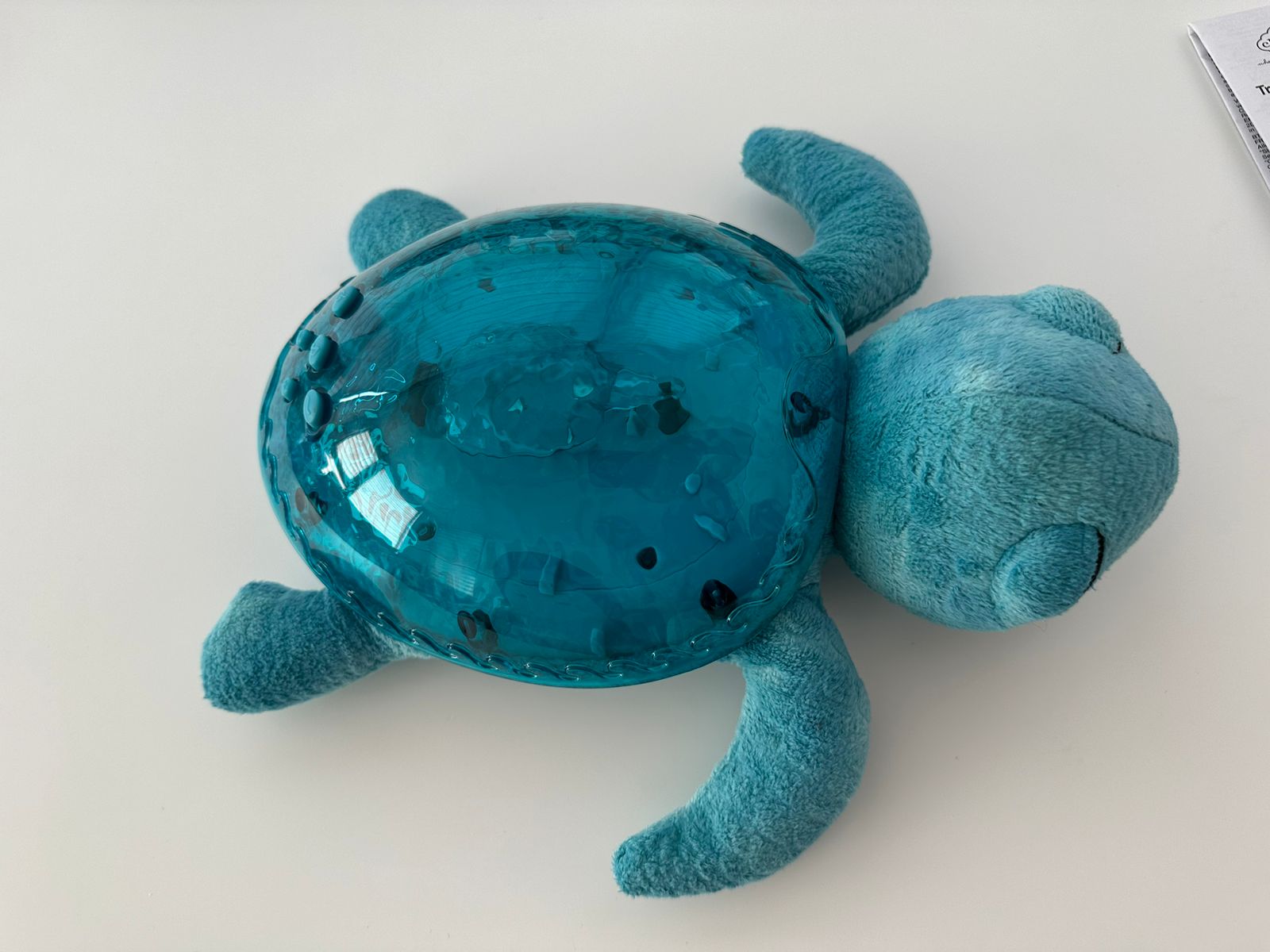 (#PG3672) Tortuga Tranquil Aqua. Marca Cloud b