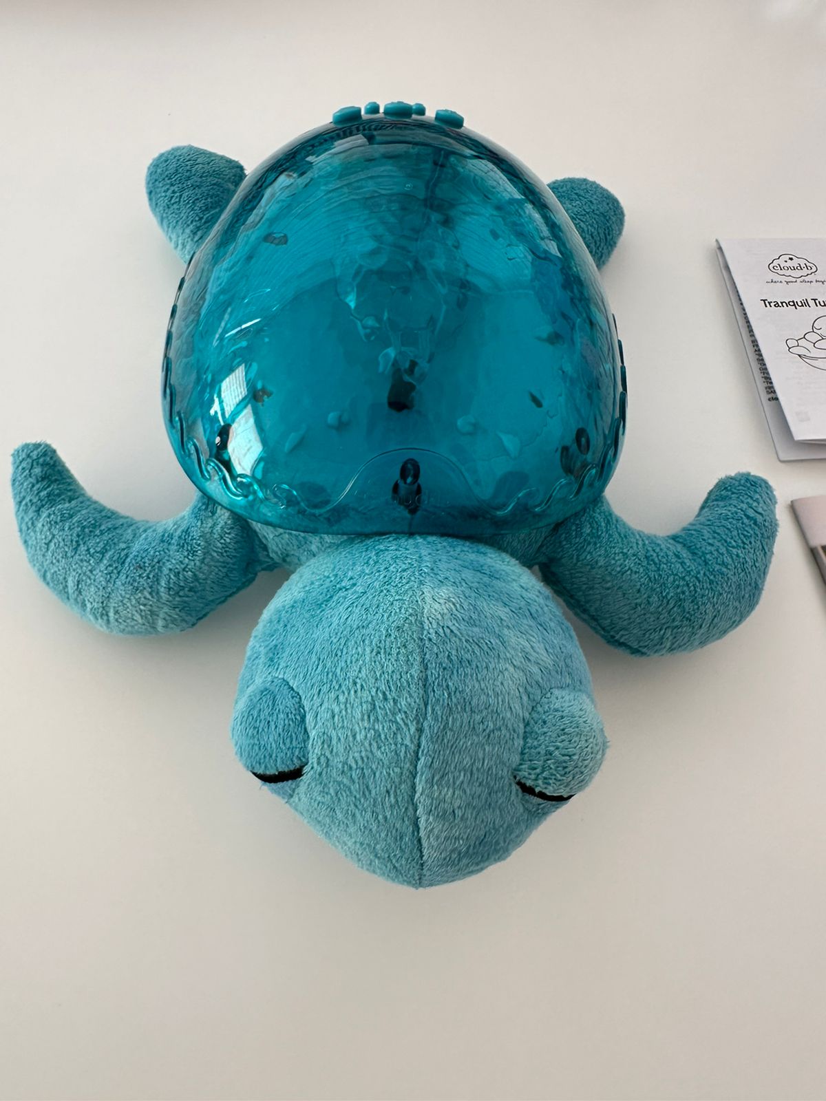 (#PG3672) Tortuga Tranquil Aqua. Marca Cloud b