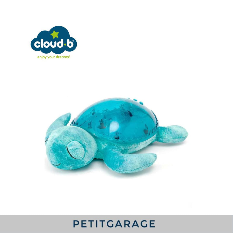 (#PG3672) Tortuga Tranquil Aqua. Marca Cloud b